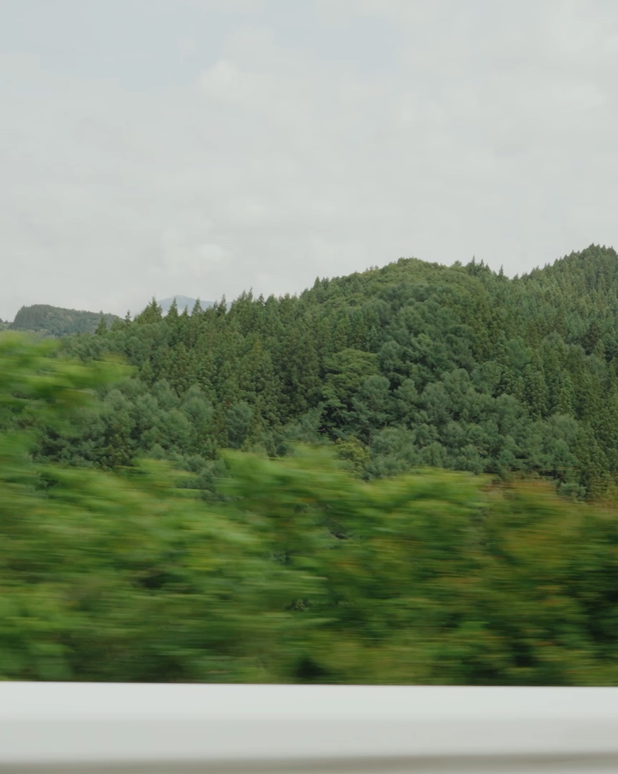 分ける — 移動する車窓から見える山と木々